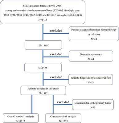 The clinicopathological characteristics and prognosis of young patients with chondrosarcoma of bone